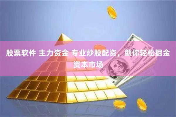 股票软件 主力资金 专业炒股配资，助你轻松掘金资本市场