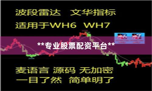 **专业股票配资平台**